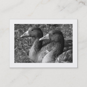 Tarjeta De Visita Greylag Geese B&W (Bordeado)