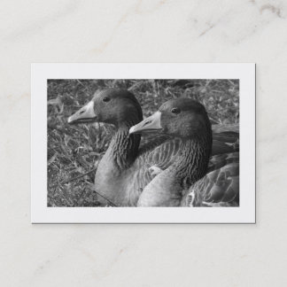 Tarjeta De Visita Greylag Geese B&W (Bordeado)