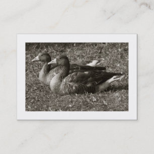 Tarjeta De Visita Greylag Geese Sepia (Bordeado)