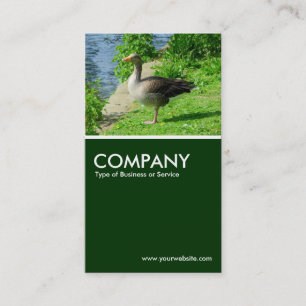 Tarjeta De Visita Greylag Goose - Dark Green