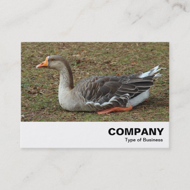 Tarjeta De Visita Greylag Swan Goose Cross (Anverso)