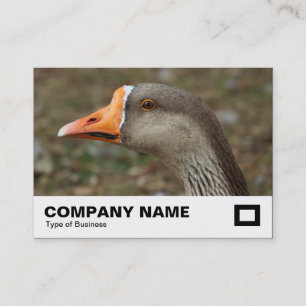 Tarjeta De Visita Greylag Swan Goose Cross