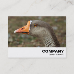 Tarjeta De Visita Greylag Swan Goose Cross