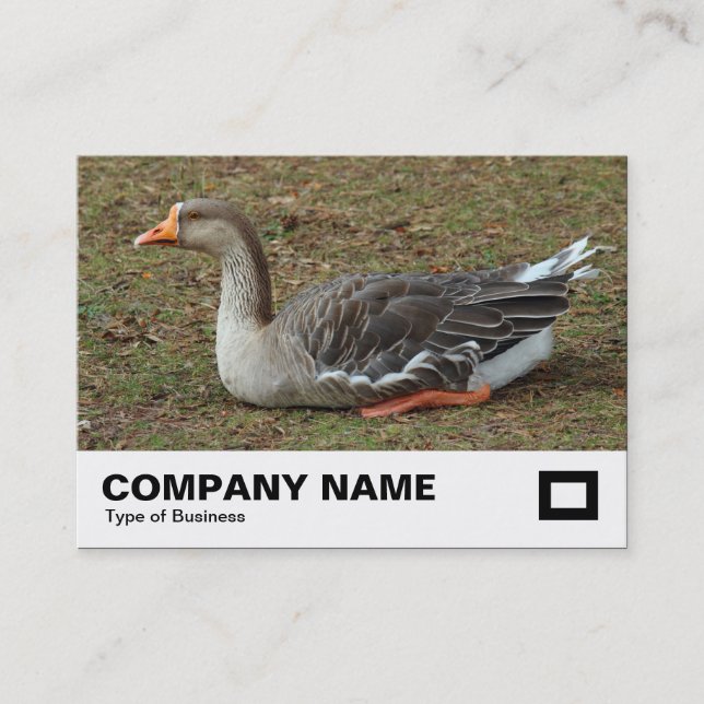 Tarjeta De Visita Greylag Swan Goose Cross (Anverso)