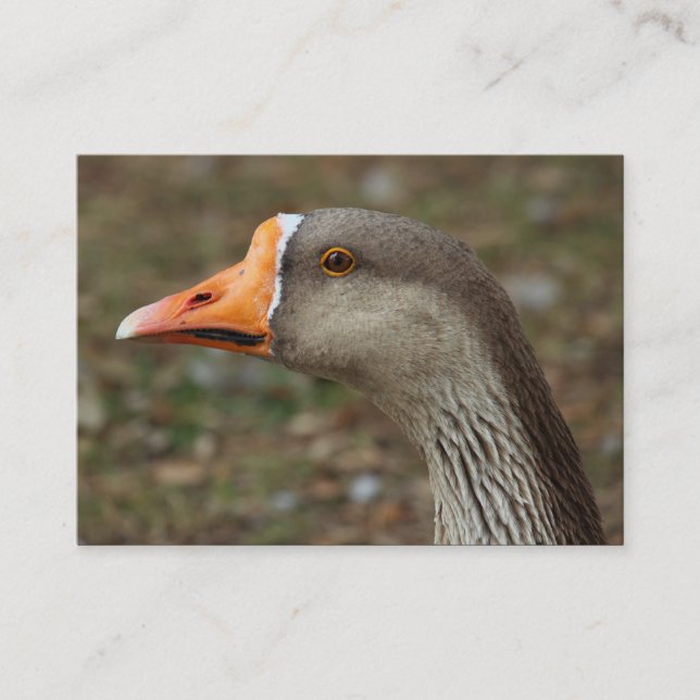 Tarjeta De Visita Greylag Swan Goose Cross (Anverso)