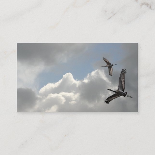 TARJETA DE VISITA GRÚAS DE SANDHILL (Anverso)