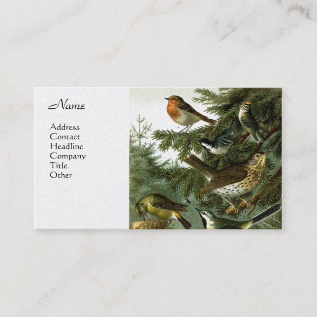 Tarjeta De Visita Grupo 3 del pájaro (Anverso)