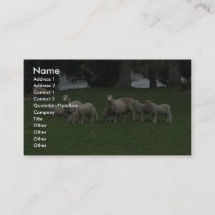 Tarjeta De Visita Grupo De Ovejas De Comer Grasa