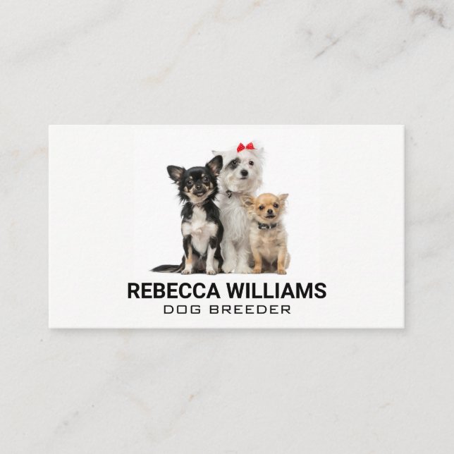 Tarjeta De Visita Grupo de perros | Servicios para animales (Anverso)