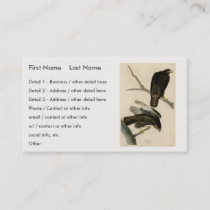 Tarjeta De Visita Guerrero negro (Halcón de cola roja) de aves auduó