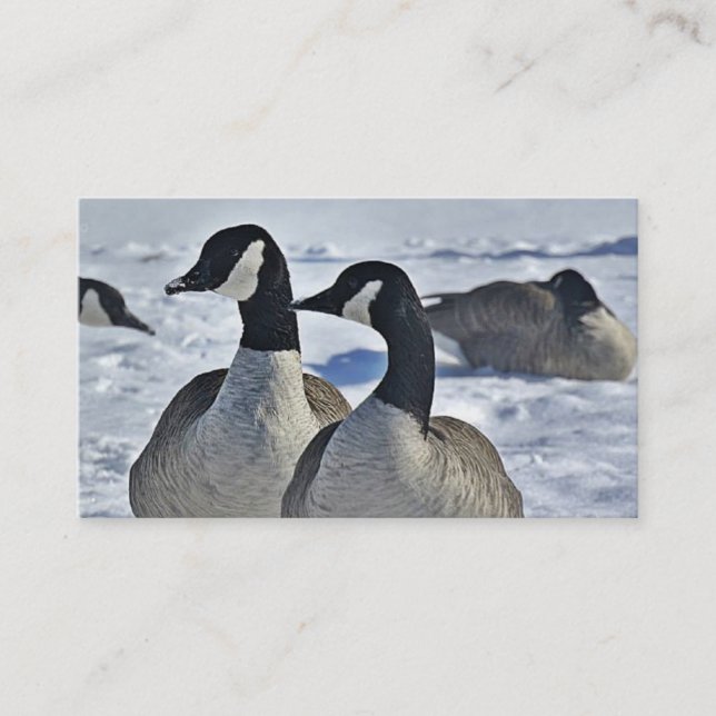 Tarjeta De Visita Guía de caza Canadá Invierno Geese al aire libre (Anverso)