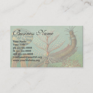 Tarjeta De Visita Gusanos vintage Annelids Chaetopoda por Ernst Haec