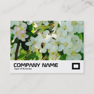 Tarjeta De Visita Haciendo la miel