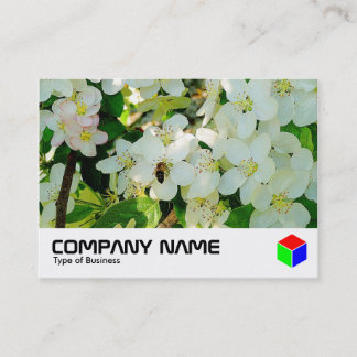 Tarjeta De Visita Haciendo miel (logotipo)