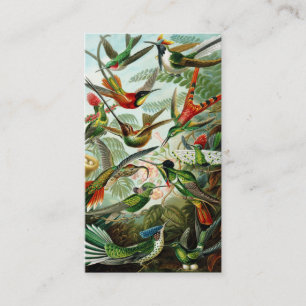 Tarjeta De Visita Haeckel Hummingbirds