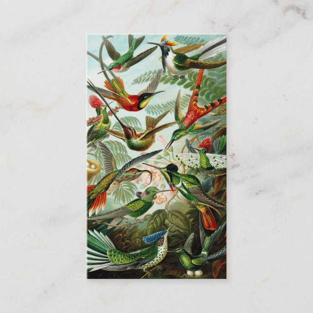 Tarjeta De Visita Haeckel Hummingbirds (Anverso)