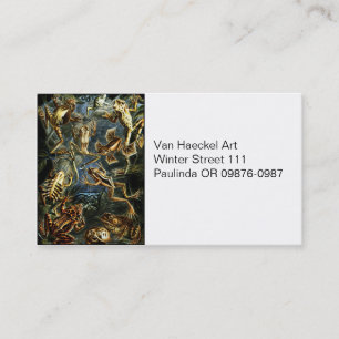 Tarjeta De Visita Haeckel Vintage Amphibians
