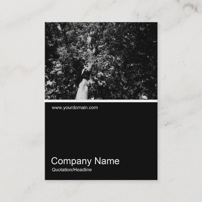 Tarjeta De Visita Half&Half Photo 0107 - Árbol plano de Londres (Anverso)