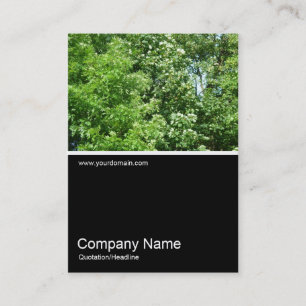 Tarjeta De Visita Half&Half Photo 0160 - Brisa de verano