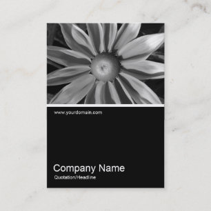 Tarjeta De Visita Half&Half Photo 016 - Prairie Sun Rudbeckia