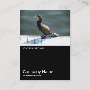 Tarjeta De Visita Half&Half Photo 0178 - Cormorant