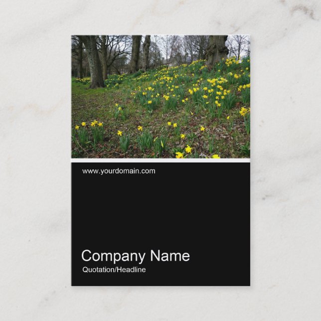 Tarjeta De Visita Half&Half Photo 021 - Daffodils (Anverso)