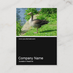 Tarjeta De Visita Half&Half Photo 0224 - Greylag Goose