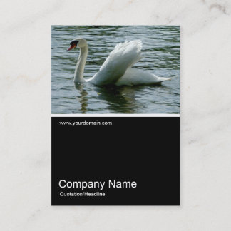 Tarjeta De Visita Half&Half Photo 0224 - Swan