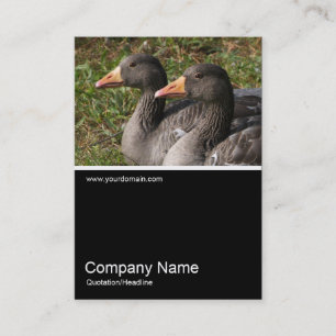 Tarjeta De Visita Half&Half Photo 0240 - Geese de Greylag