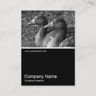 Tarjeta De Visita Half&Half Photo 0241 - Greylag Geese B&W