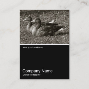 Tarjeta De Visita Half&Half Photo 0243 - Geese de Greylag