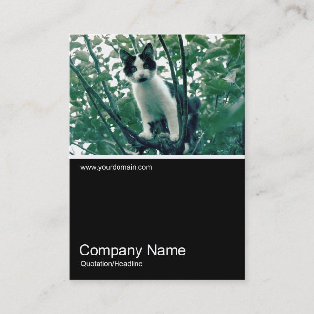 Tarjeta De Visita Half&Half Photo 0249 - Superfluidad de la traviesa (Anverso)