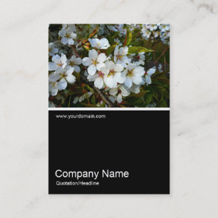 Tarjeta De Visita Half&Half Photo 024 - Flor de cerezo