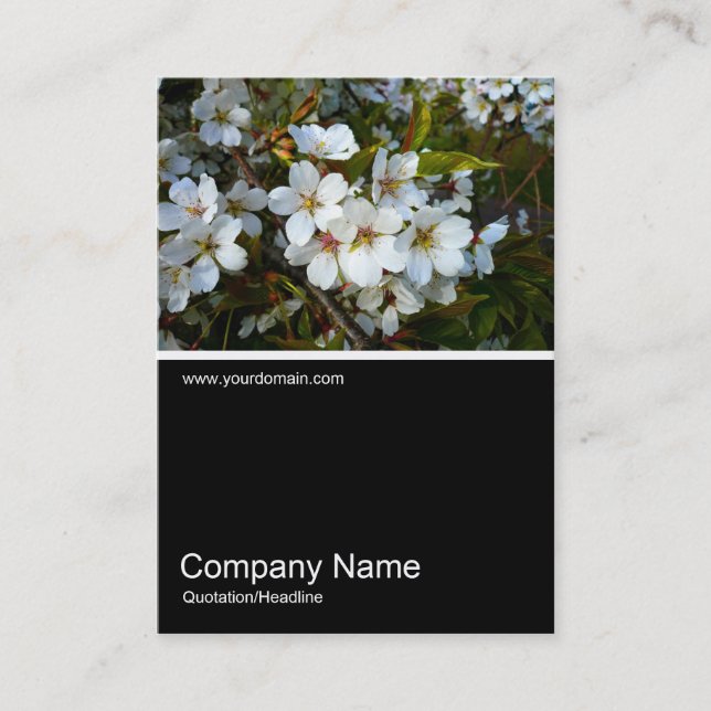 Tarjeta De Visita Half&Half Photo 024 - Flor de cerezo (Anverso)