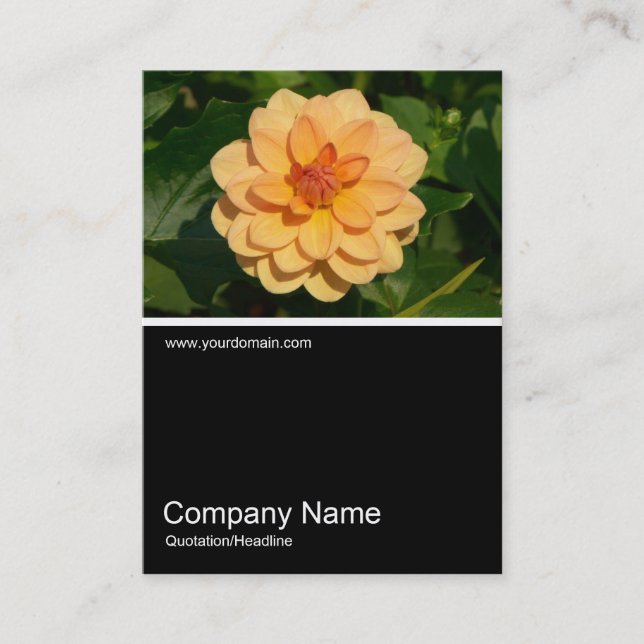 Tarjeta De Visita Half&Half Photo 0281 - Dahlia 'David Howard' (Anverso)