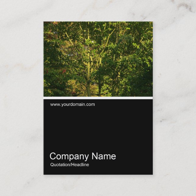 Tarjeta De Visita Half&Half Photo 0288 - Sucursales Japonesas 05 (Anverso)