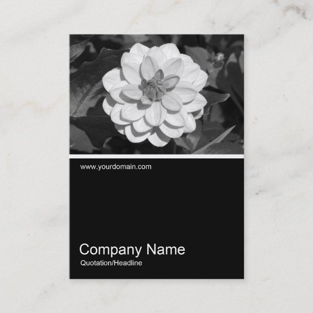 Tarjeta De Visita Half&Half Photo 0291 - Dahlia 'David Howard' (Anverso)