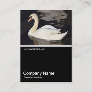 Tarjeta De Visita Half&Half Photo 0307 - Mute Swan