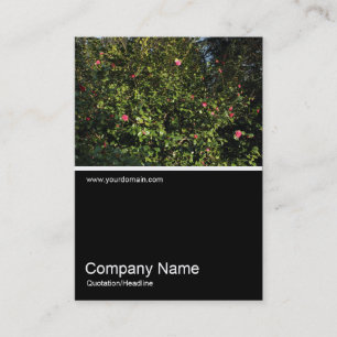 Tarjeta De Visita Half&Half Photo 0313 - Camellia Bush