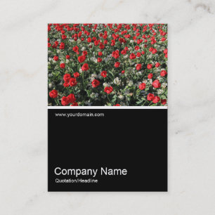 Tarjeta De Visita Half&Half Photo 0316 - Tulipanes y rosas rojas