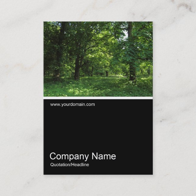 Tarjeta De Visita Half&Half Photo 0322 - Spring in the Woods 01 (Anverso)