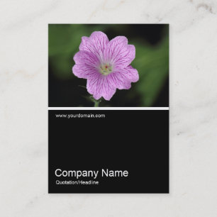 Tarjeta De Visita Half&Half Photo 0325 - Geranium Endressii