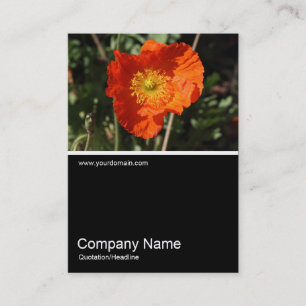 Tarjeta De Visita Half&Half Photo 0325 - Welsh Poppy (Naranja)