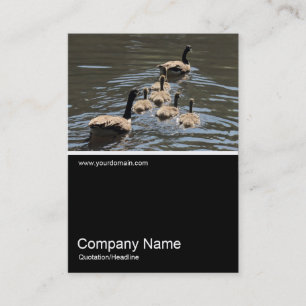 Tarjeta De Visita Half&Half Photo 0326 - Canada Geese with Goslings