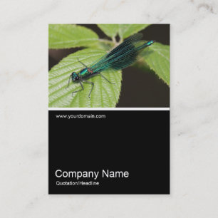 Tarjeta De Visita Half&Half Photo 0333 - Dragonfly