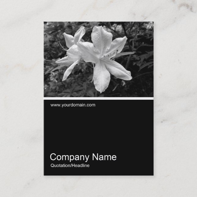 Tarjeta De Visita Half&Half Photo 034 - Azaleas (Anverso)