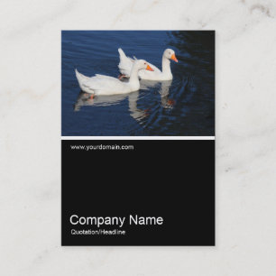 Tarjeta De Visita Half&Half Photo 0370 - Emden Geese
