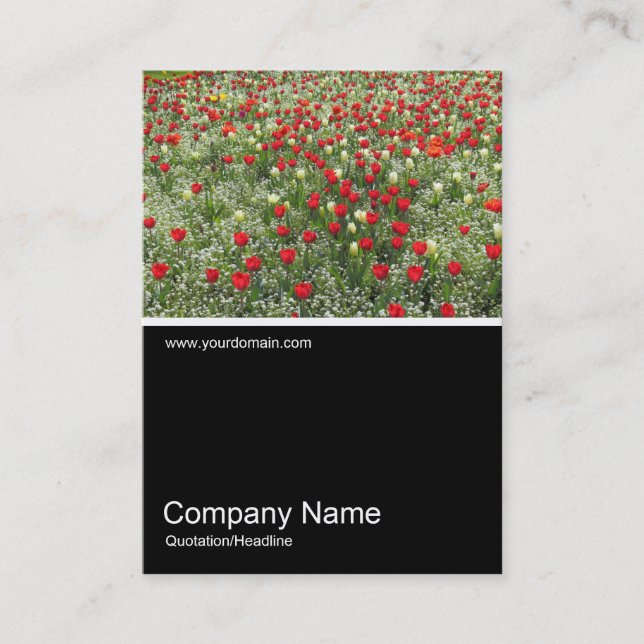 Tarjeta De Visita Half&Half Photo 0379 - Cama de tulipanes (Anverso)