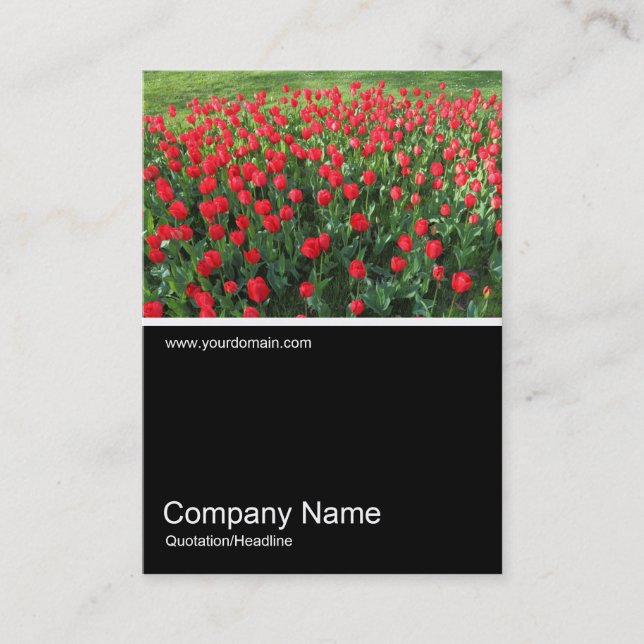 Tarjeta De Visita Half&Half Photo 0381 - Cama de tulipanes rojos 01 (Anverso)