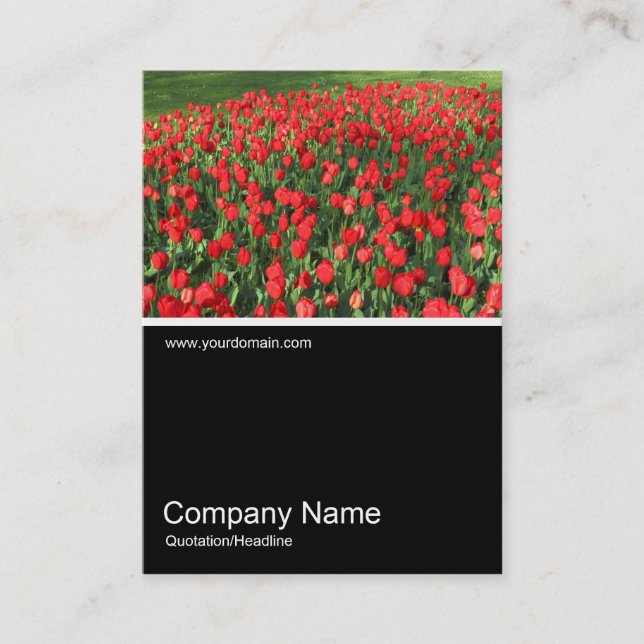 Tarjeta De Visita Half&Half Photo 0382 - Cama de tulipanes rojos 02 (Anverso)